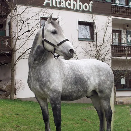 Hotel Altachhof Und Ferienanlage - Jokercard Im Sommer Inklusive 3*