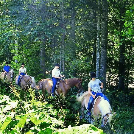 Готель Altachhof Und - Jokercard Im Sommer Inklusive 3*